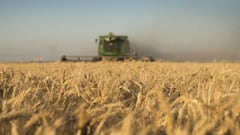 El gobierno no descarta subir las retenciones al campo: razones y consecuencias de esta decisión