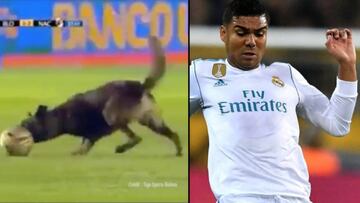 El perro-Casemiro: se cuela en el campo y no deja pasar un balón