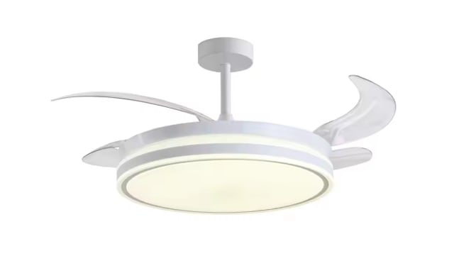 Ceiling fan with light