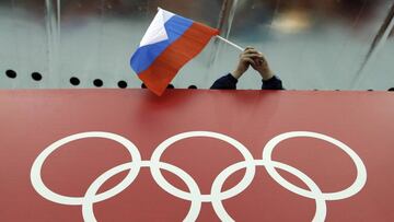 Un seguidor ruso ondea su bandera durante los Juegos de Sochi. 