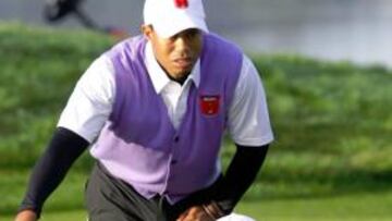 Tiger Woods y Steve Stricker