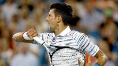 Novak Djokovic derrot&oacute; a Lucas Pouille y se medir&aacute; en semifinales al ruso Medvedev. 