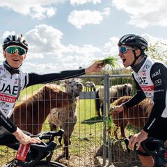 Pogacar abre las Ardenas