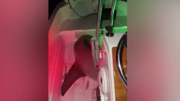 Ryan Myers, dos veces campeón nacional de pesca submarina de Estados Unidos, compartió el impactante momento.