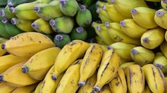 El origen de los plátanos de Mercadona: ha comprado 70 millones de kilos “de alta calidad”