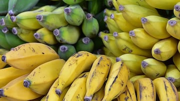 Plátanos verdes y maduros apilados.