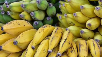 Plátanos verdes y maduros apilados.