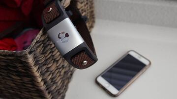 Waggit, el collar inteligente que controla toda la actividad de tu perro