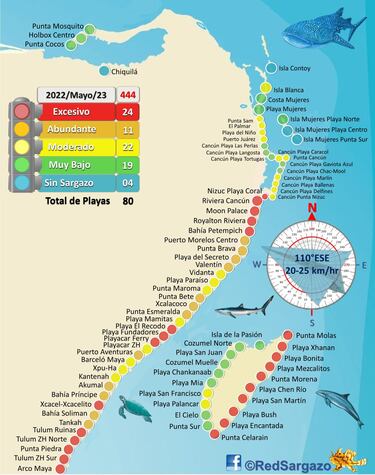 Sargazo en Quintana Roo: Qué playas están libres de la alga