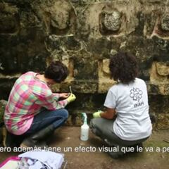 Descubren un palacio maya en zona arqueológica