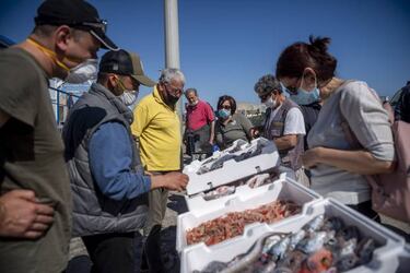 Coronavirus: ?c¨®mo es la fase 2 del desconfinamiento en Italia?