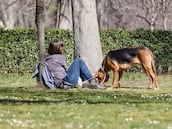 MADRID, SPAIN - MARCH 11: A woman with a dog in the Retiro Park on March 11, 2023, in Madrid, Spain. This weekend's air mass over Spain comes from the Atlantic Ocean at latitudes below 30ºN. This mass of warm air, together with the high pressures of the anticyclone that is present over the peninsula, has caused temperatures to rise, in an atypical way for these dates, in almost all the peninsula, exceeding the barrier of 30ºC for the first time in this 2023, according to the State Meteorological Agency (AEMET). (Photo By Jesus Hellin/Europa Press via Getty Images)