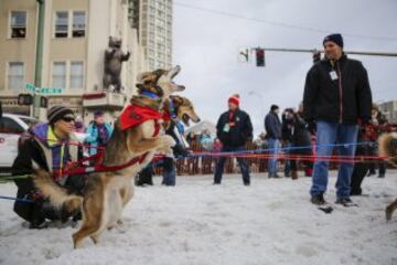 Acto ceremonial del comienzo de la carrera de trineos con perros que se celebró el pasado sábado en Anchorage, Alaska.