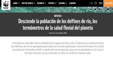 Registran la muerte de más de 100 delfines en el Amazonas