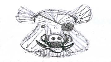 Mi soledad, mi jabalí “el tuerto” y yo