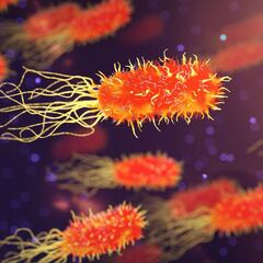 Microbioma intestinal: secuela de la COVID persistente