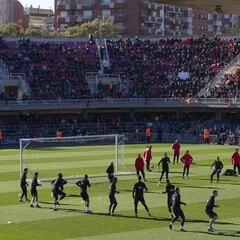 Los murciélagos y los gatos del Mini Estadi serán rescatados