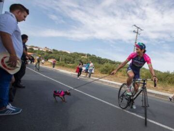 Lampre's Japonese cyclist Yukiya Arashiro walking his dog Corin prior to the 7th stage of the 71st edition of "La Vuelta" Tour of Spain, a 158,5 km route between Maceda to Puebla de Sanabria on August 26, 2016.