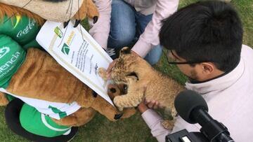 Le&oacute;n presenta a &quot;Sambu&quot; como su nuevo refuerzo