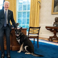 Major, perro de Joe Biden, causa segundo incidente de mordedura en la Casa Blanca