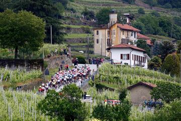 Dario Cataldo vencedor en la 15ª etapa del Giro de Italia