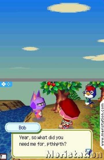 Captura de pantalla - animal_crossing_ds_0006.jpg