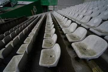 Los asientos de la Preferencia Oeste de El Sardinero. A partir de noviembre serán verde natural, ya no blancos o verde moho.