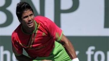 <b>Fernando Verdasco</b>.