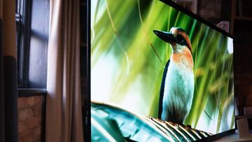 Mejora la calidad de imagen de tu televisor con estos trucos