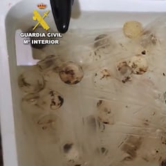 Alfa-PiHP: la “peligrosa” droga que ha llegado a España