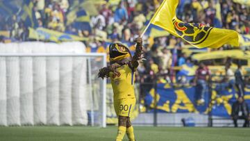 Mascota del América pidió matrimonio en el Estadio Azteca durante el duelo ante Morelia