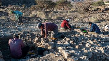 Hallan un juego de mesa de piedra de hace 4.000 años.