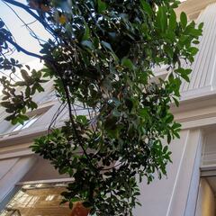 PRISA culmina la refinanciación de la deuda y transmite Santillana España a Sanoma