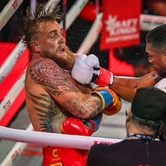 Trump gives his take on Jake Paul - Anthony Joshua fight: “A display of great courage”