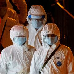 La OMS indica el posible lugar exacto del origen del coronavirus