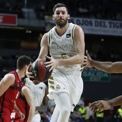 El Madrid-Barça y el resto de la Liga Endesa será a puerta cerrada