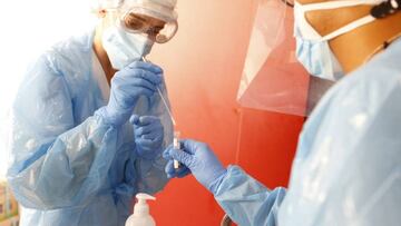 Realización y análisis de una prueba PCR.