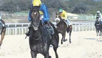 <b>VICTORIA 41. </b>José Luis Martínez entra victorioso con Lord Vell en la prueba principal del día.