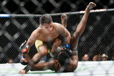 Resumen y resultados del UFC 215: Nunes bate a Shevchenko