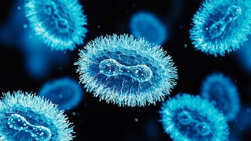 Scientists show that ancient organisms already had mechanisms to neutralize therapeutic agents.