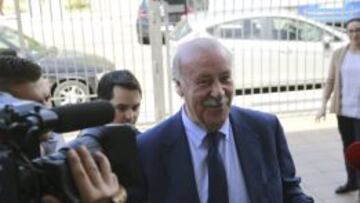 Vicente Del Bosque