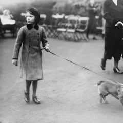 El árbol genealógico de los más de 30 perros corgis que tuvo Isabel II