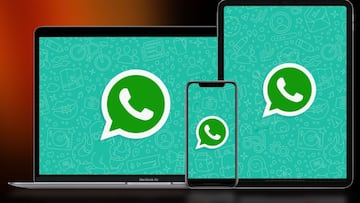 Llega a WhatsApp la función multidispositivo; así puedes activarla