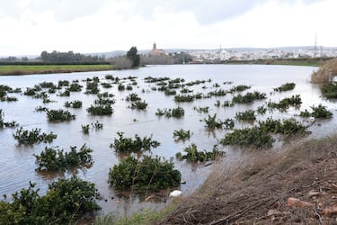 Sebastián González, agricultor, tras el paso de Leonardo: “Tenemos más de 20.000 hectáreas anegadas, pedimos la zona catastrófica”