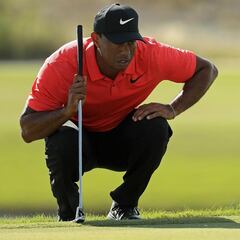 Woods grouped with Reed and Hoffman at Torrey Pines