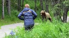 Un gu&iacute;a de monta&ntilde;a con el pelo rubio se encuentra con un oso grizzly en el camino en Alaska (Estados Unidos).