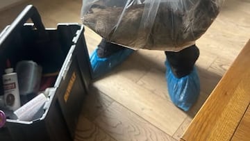 Fotografía de una rata de casi 56 centímetros tomada en Reino Unido.