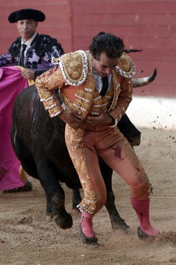 El torero Iván Fandiño recibió una cornada mortal de un toro de la ganadería Baltasar Ibán en la plaza francesa de Aire Sur L'Adour, r L'Adour,