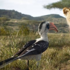 Jon Favreau reveló que sí hay una escena real en El Rey León