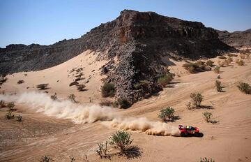 Sebastien Loeb y Fabian Lurquin.